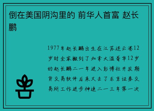 倒在美国阴沟里的 前华人首富 赵长鹏