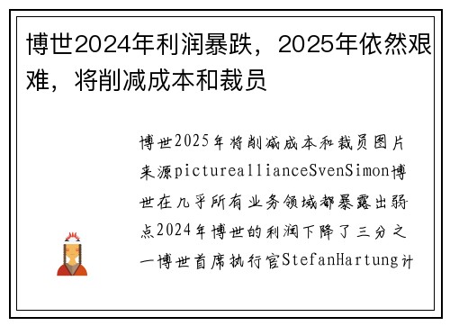博世2024年利润暴跌，2025年依然艰难，将削减成本和裁员