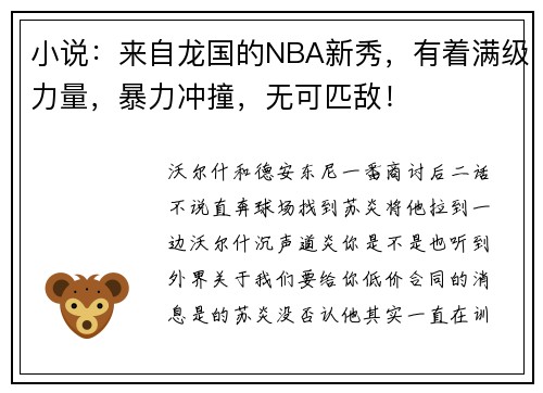 小说：来自龙国的NBA新秀，有着满级力量，暴力冲撞，无可匹敌！