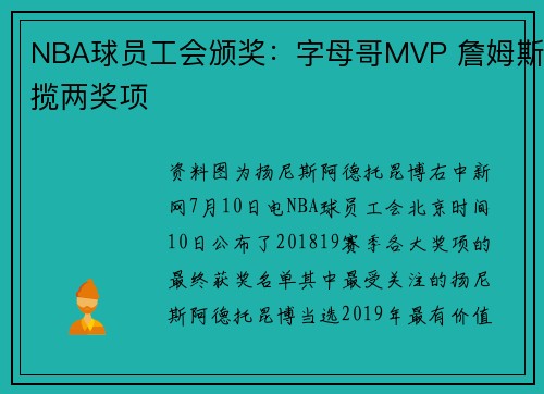 NBA球员工会颁奖：字母哥MVP 詹姆斯揽两奖项